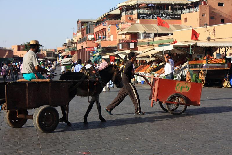 440-Marrakech,5 agosto 2010.JPG